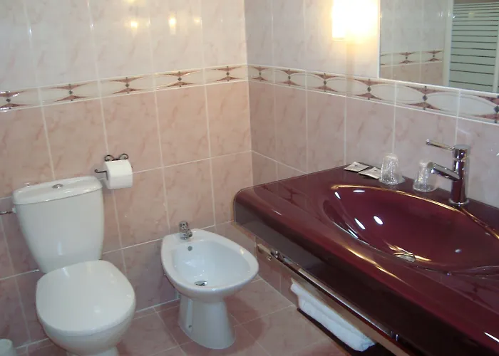 Lutetia - Climatise Hotel Lourdes